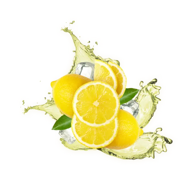Splash Image