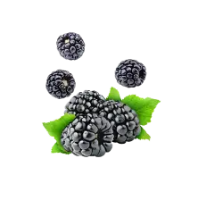 Blackberry / 65ml