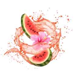 Watermelon Hibiscus / 65ml